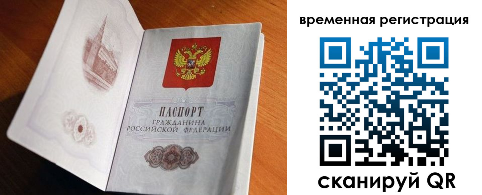 прописка штамп в Липецкая области